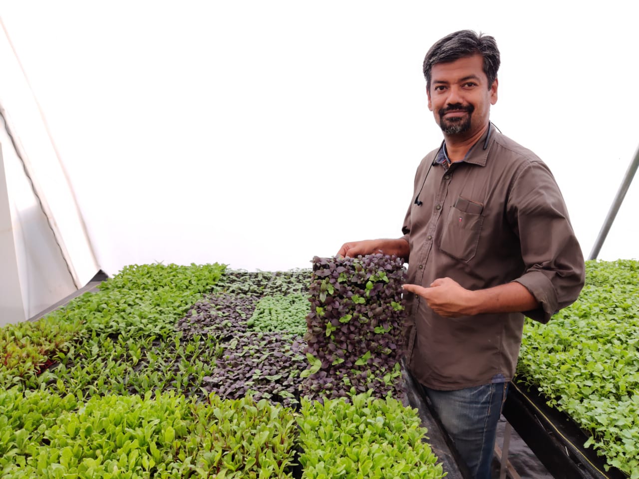 Hyper Farm HyperFarms | Discovery of an Engineer’s Passion for Sustainable ...