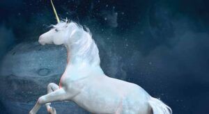Class nears unicorn status featured image