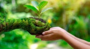 Flipkart And Myntra Partner With Canopy To Extend Sustainability Commitment 1 Flipkart And Myntra partner with Canopy featured image