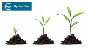 Mynvax raises $4.2M featured image