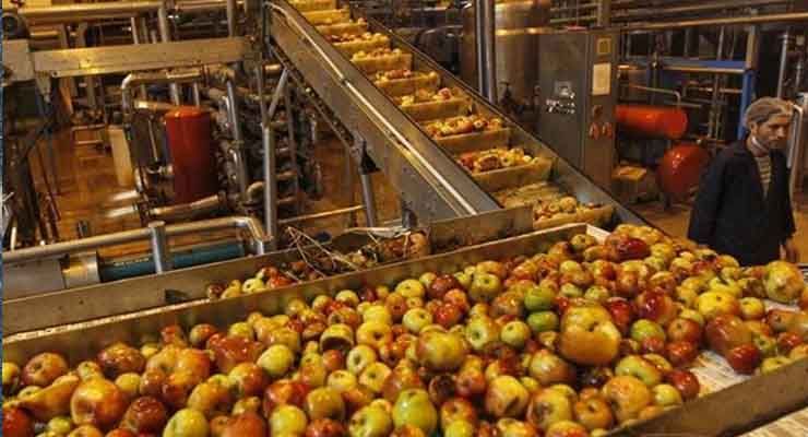 Nestle India acquires government approval for the PLI scheme for processed fruits and vegetables. 1 apples