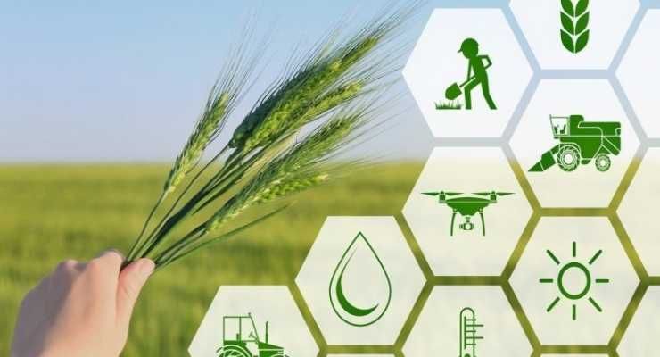 Agritech startup Our Food raises $6 million in fresh round of funding