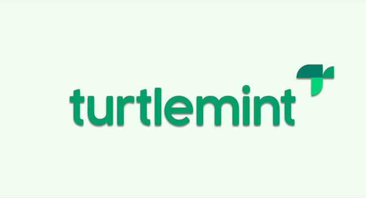 Turtle mint in talks with global investors