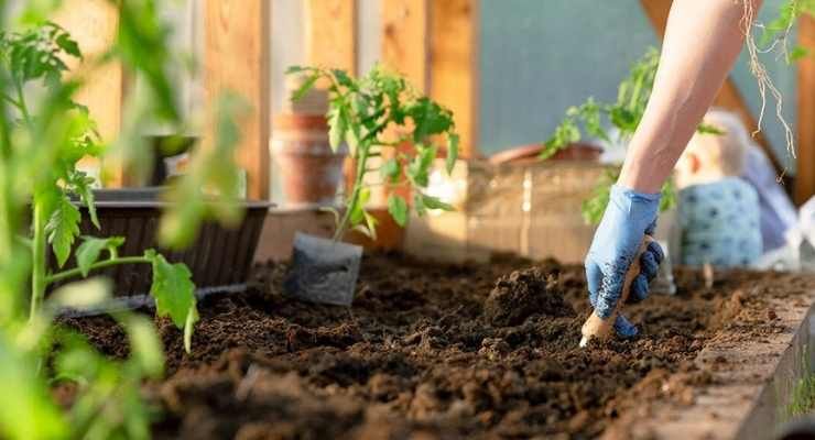 UpScalio invests in gardening brand Truphe