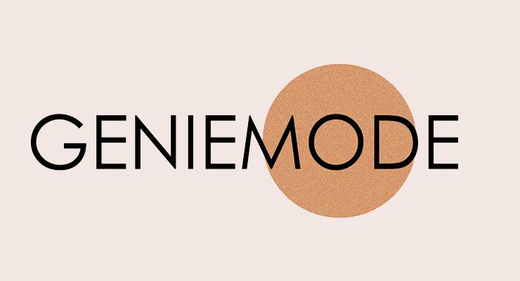 US Hedge Fund Tiger Global Invests $27.5 Mn In Ecommerce Startup GenieMode 1 GenieMode