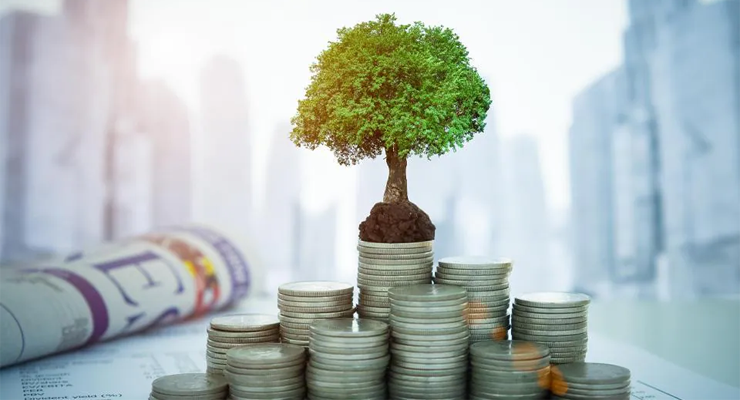 Fitelo raises $1.5 mn in pre-Series A round led by Guild Capital 1 Fitelo raises $1.5 mn in pre-Series A round led by Guild Capital