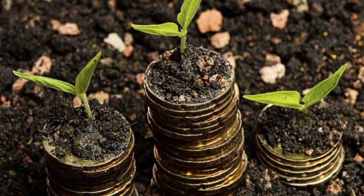 Urvann raises Rs 3 crore in the seed round of funding led by IPV