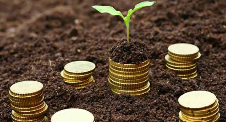 Organic Kitchen funding