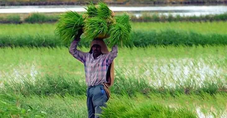 A farmer from Barmer joins the board of directors of the Jaipur-based e-commerce firm "Jaipur Chakki" 1 A farmer from Barmer joins the board of directors of the Jaipur-based e-commerce firm "Jaipur Chakki"