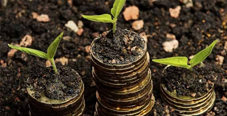 Jewellery marketplace Amama raises $250000 in seed funding led by She Capital