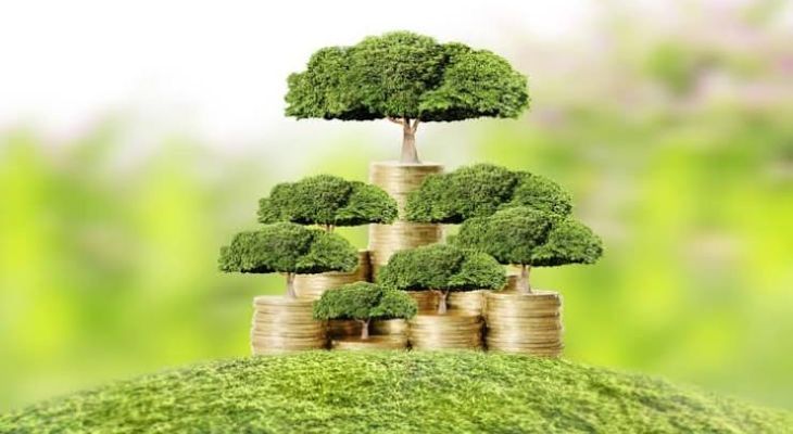 Delta Corp Leads $5M Pre-Series A Round for EV Logistics Company Zyngo