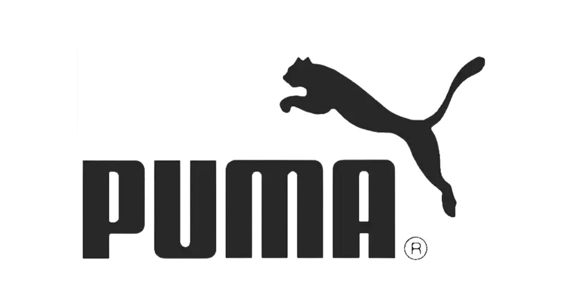 Puma India Executives' Startup Agilitas Sports Raises $52 Million